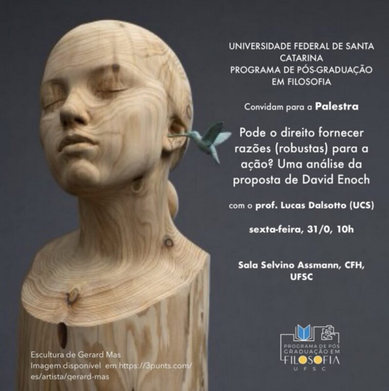 Pode o direito fornecer razões (robustas) para a ação? Uma análise da proposta de David Enoch